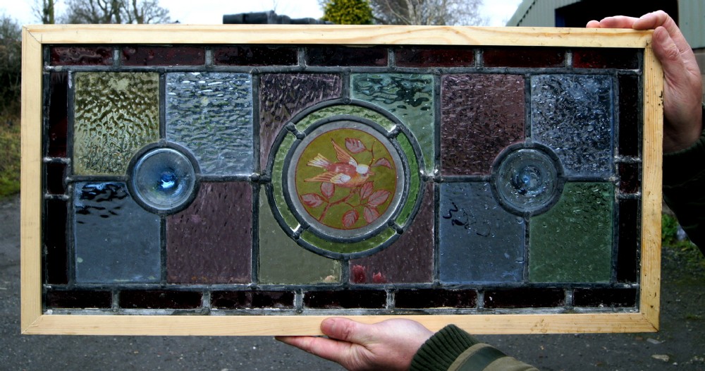 A vibrant stained glass painted bird window 