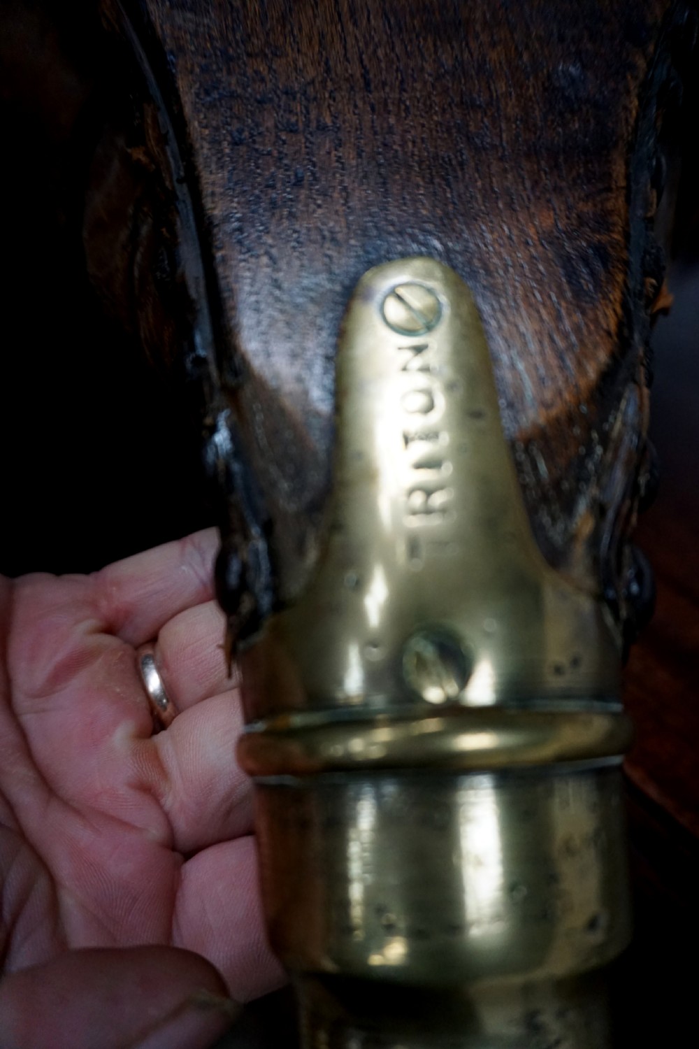 Rare Triton fog horn by Alldays and Onion Co  View III