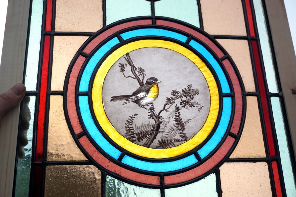 A beautiful stained glass painted bird window View II