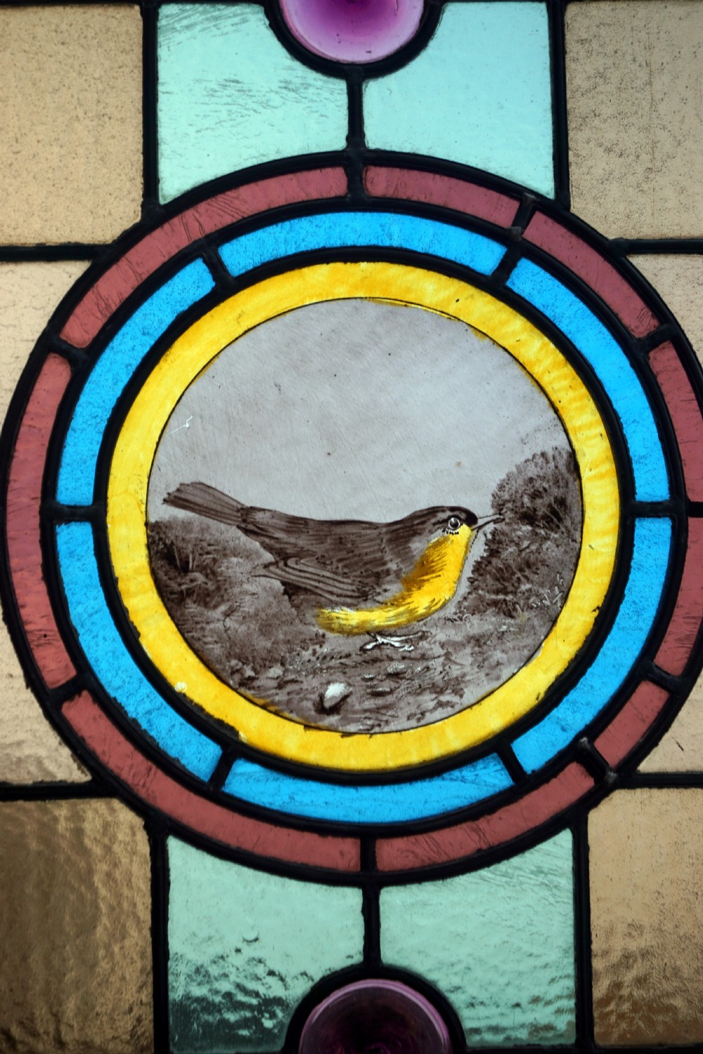 A beautiful stained glass painted bird window View II