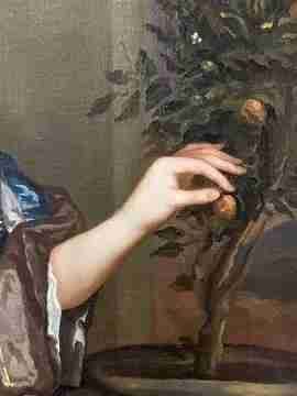 fig 4. A seventeenth-century portrait painting of a lady in a blue silk dress picking oranges, set within an ornate gilded frame.