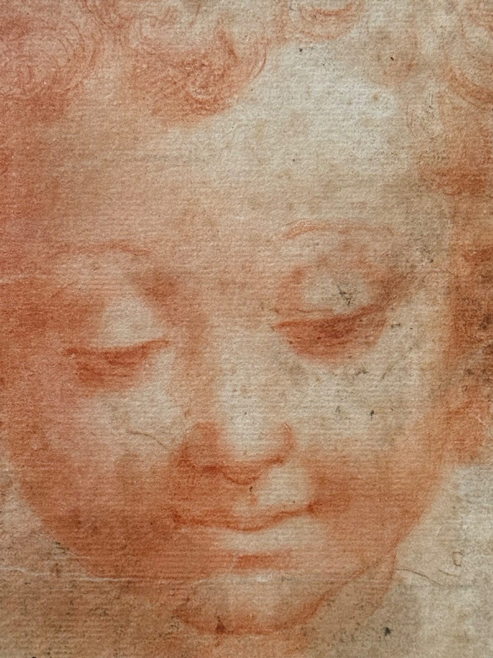 CIRCLE OF MICHELANGELO ANSELMI (ITALIAN c. 1492 – c. 1554) - A RED CHALK RENAISSANCE DRAWING OF A CHILDS FACE.
 View III