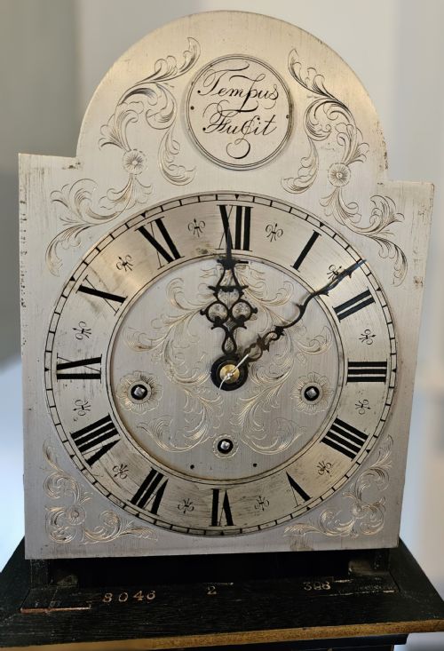 A RARE LACQUERED EDWARDIAN CHIMING GRANDMOTHER CLOCKLONGCASE CLOCK - ADDITIONAL PHOTO 9