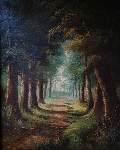 A 19TH CENTURY GOOD QUALITY OIL ON CANVAS OF A LANE IN A BEECH FOREST FORMING A GREEN TUNNEL ENGLISH SCHOOL - ADDITIONAL PHOTO 2