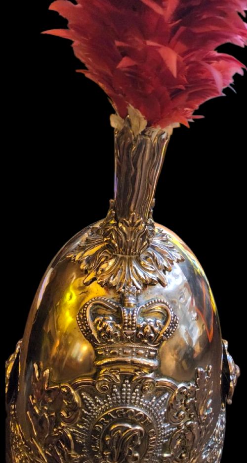 PORTO BRITISH 1847 OFFICERS HELMET VICTORIAN OF THE 5TH PRINCESS CHARLOTTE OF WALESS DRAGOON GUARDS CIRCA18451855 - ADDITIONAL PHOTO 6