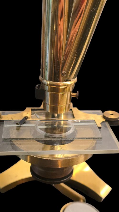 R J BECK LONDON BINOCULAR MICROSCOPE IMPROVED NATIONAL C1880 IN ORIGINAL MAHOGANY CASE - ADDITIONAL PHOTO 9