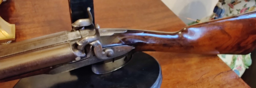 Westley Richards 14 bore side by side muzzle loading hammer action 19th century shotgun.  View XI