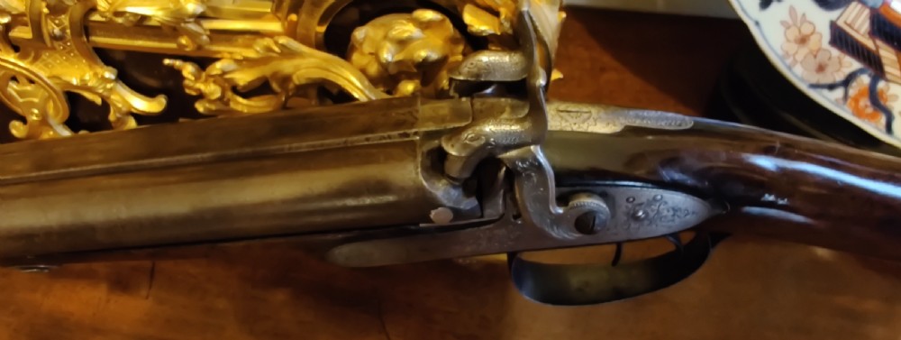 Westley Richards 14 bore side by side muzzle loading hammer action 19th century shotgun.  View XV