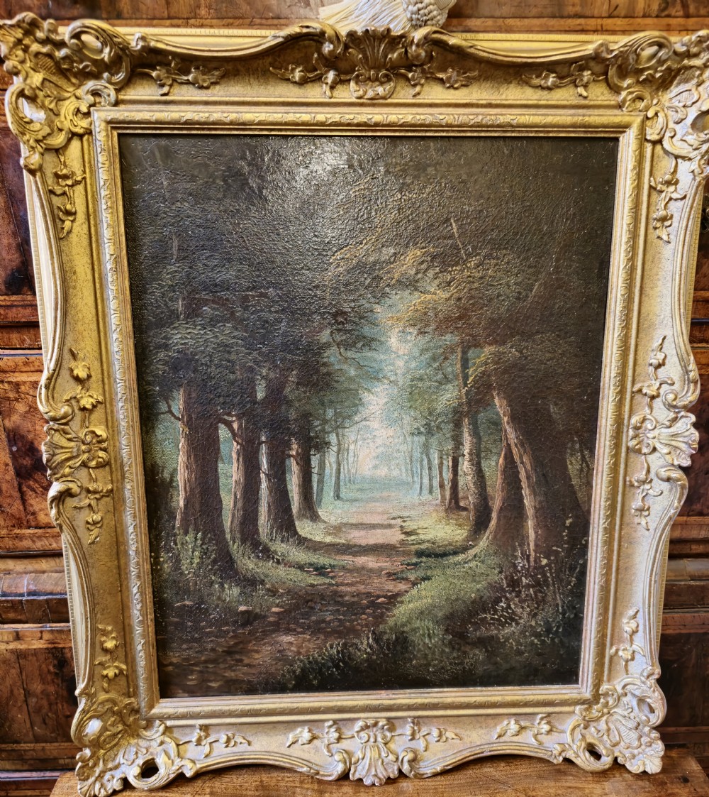 A 19th century good quality, Oil on Canvas, of a lane in a beech forest, forming a 