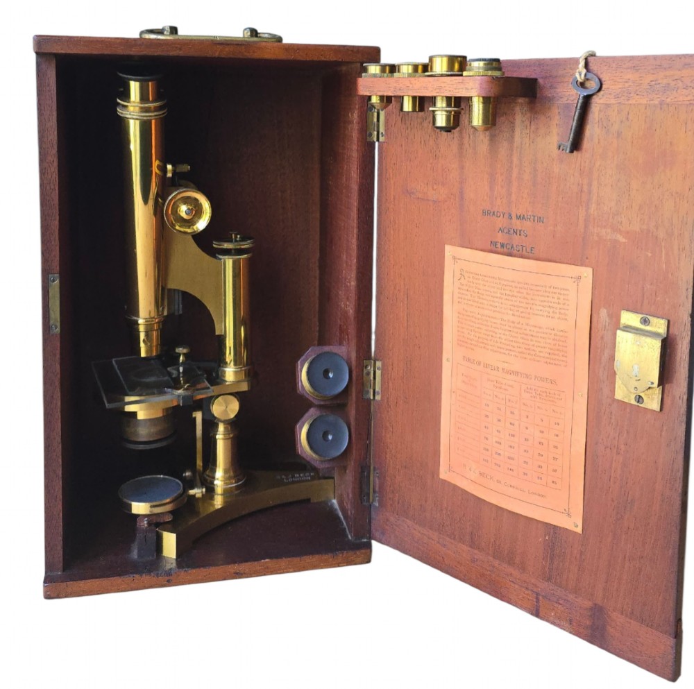 A Victorian lacquered brass binocular microscope featuring dual body tubes, knurled adjusting wheels, a stage plate, and a solid brass tripod foot. View II