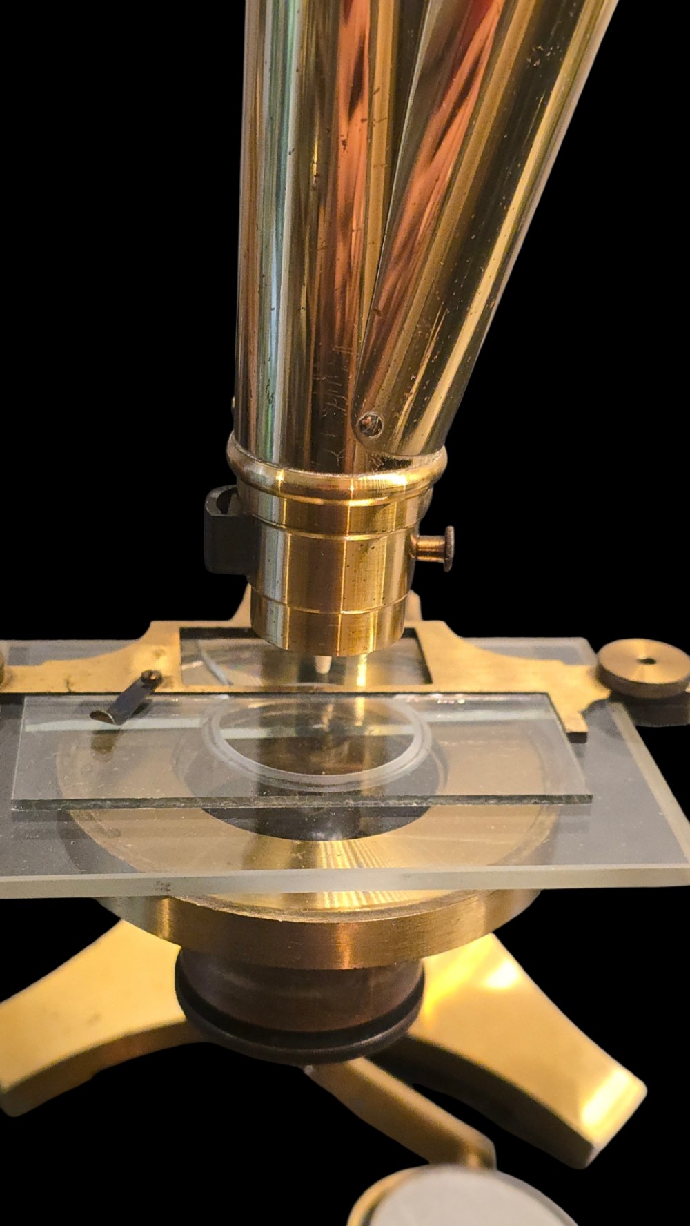 A Victorian lacquered brass binocular microscope featuring dual body tubes, knurled adjusting wheels, a stage plate, and a solid brass tripod foot. View X