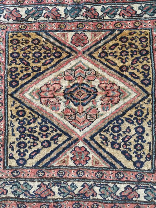 NW PERSIAN BAGFACE - ADDITIONAL PHOTO 1
