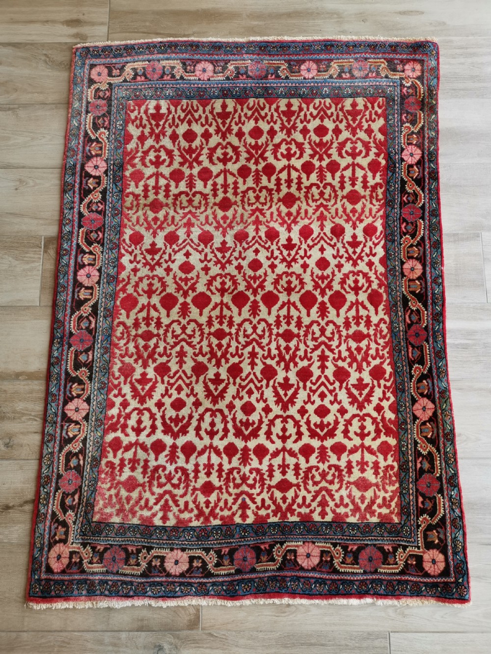 A hand-knotted rectangular antique Sarouk wool rug featuring a crimson red repeating floral pattern on a cream ground framed by a dark floral border.