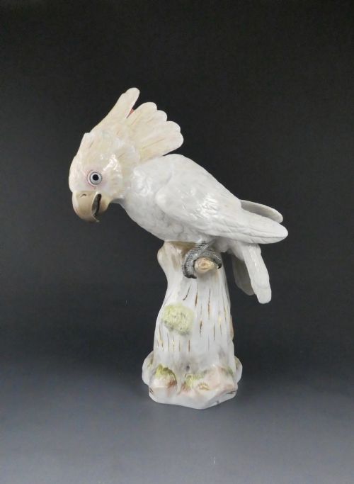 Meissen Porcelain Cockatoo, C. 1870.