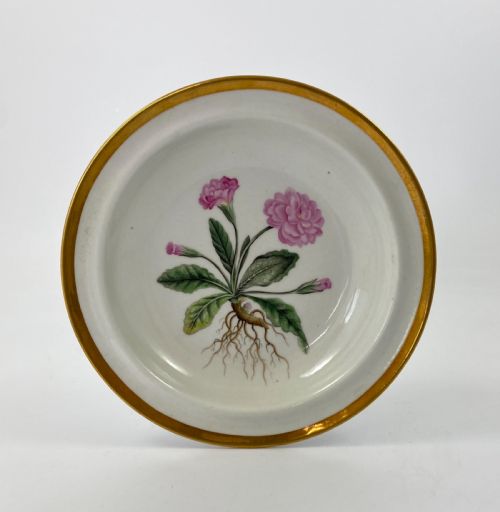 Chamberlains Worcester ‘Botanical’ Dish, C. 1810.
