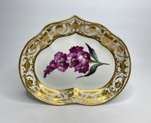 Derby Porcelain Dish, Botanical Study, William ‘Quacker’ Pegg, C. 1815.