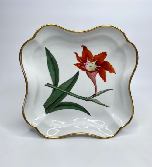 Chamberlains Worcester Botanical Dish, C. 1810.