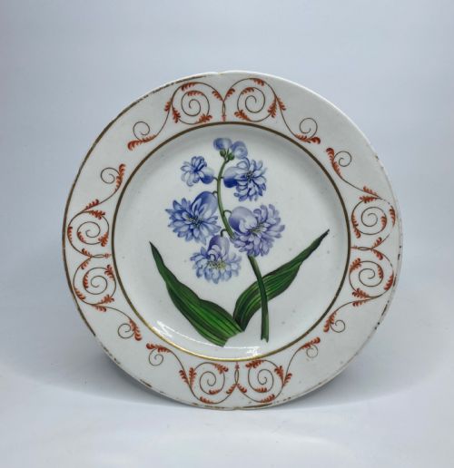 English Porcelain Botanical Dish, Hyacinth, C. 1800.
