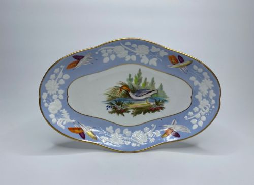 Spode Ornithological Dish, C. 1820.