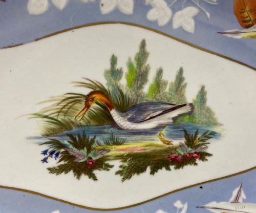 fig 1. Spode ornithological dish, c. 1820.