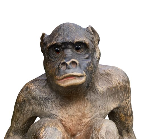 AUSTRIAN TERRACOTTA CHIMPNAZEE C 1890 - ADDITIONAL PHOTO 1