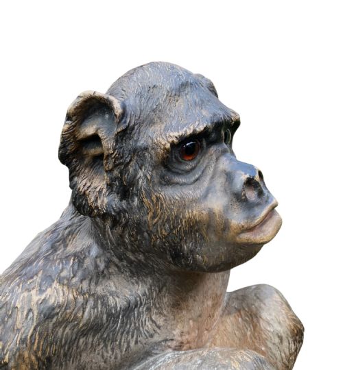 AUSTRIAN TERRACOTTA CHIMPNAZEE C 1890 - ADDITIONAL PHOTO 8