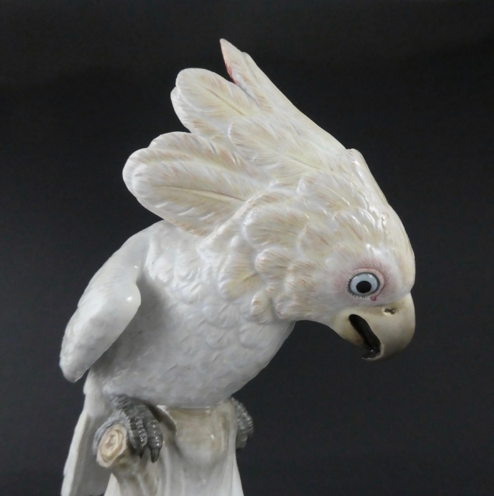 Meissen porcelain Cockatoo, c. 1870. View V