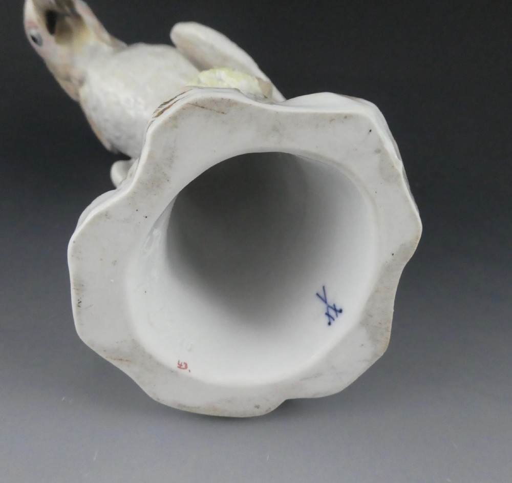Meissen porcelain Cockatoo, c. 1870. View X
