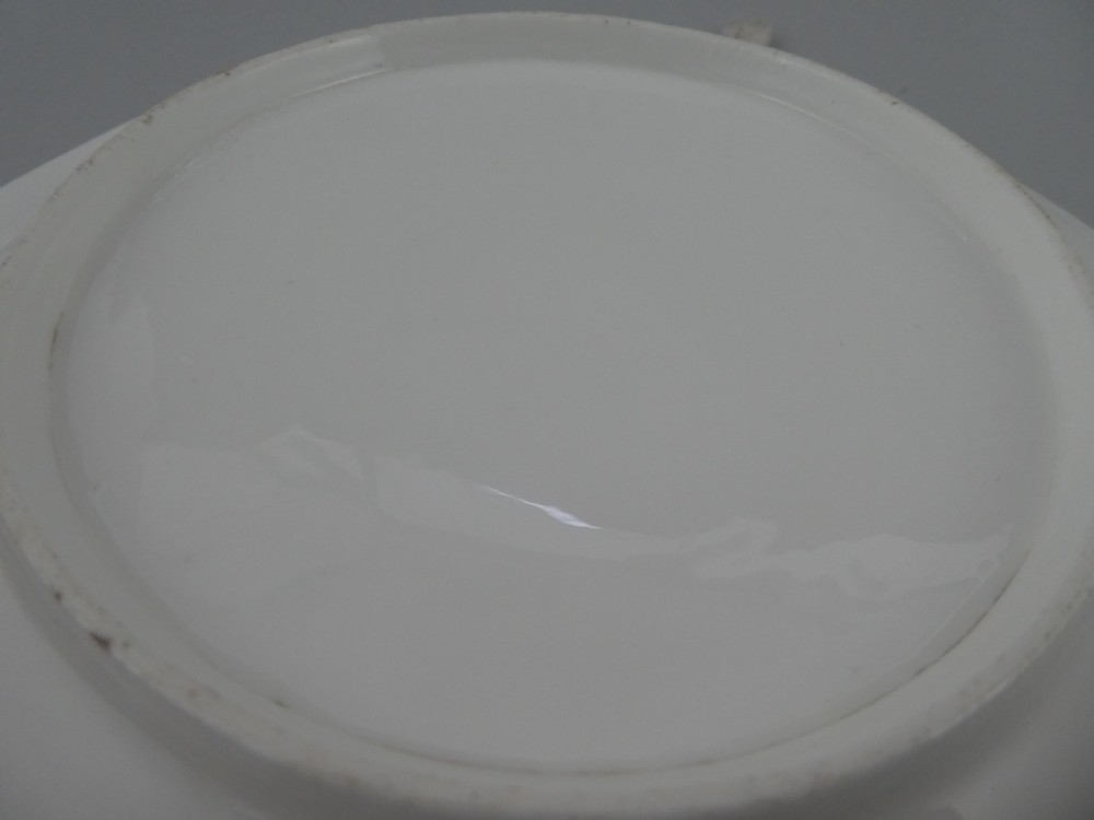 Nantgarw porcelain dish. Flower painted. c. 1820. View VII