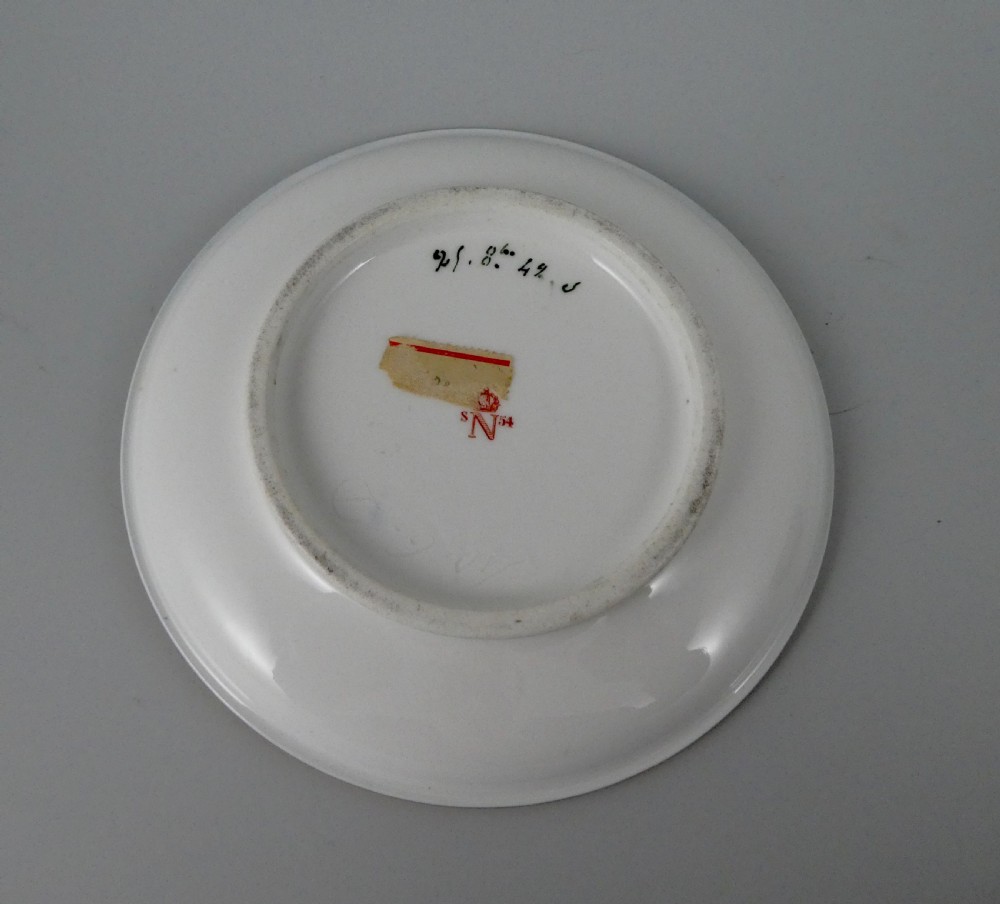 Sevres porcelain cup and saucer, dated 1854. View VII