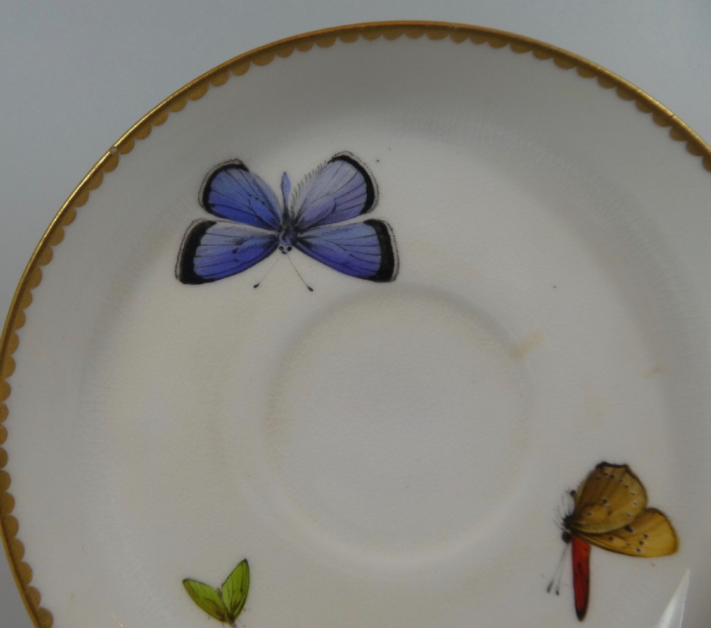 Royal Worcester ‘Butterfly’ cup and saucer, dated 1880. View III
