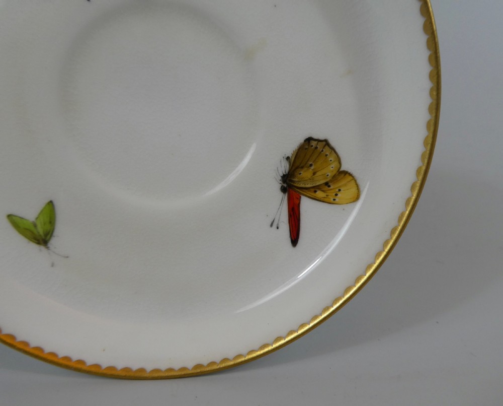 Royal Worcester ‘Butterfly’ cup and saucer, dated 1880. View IV