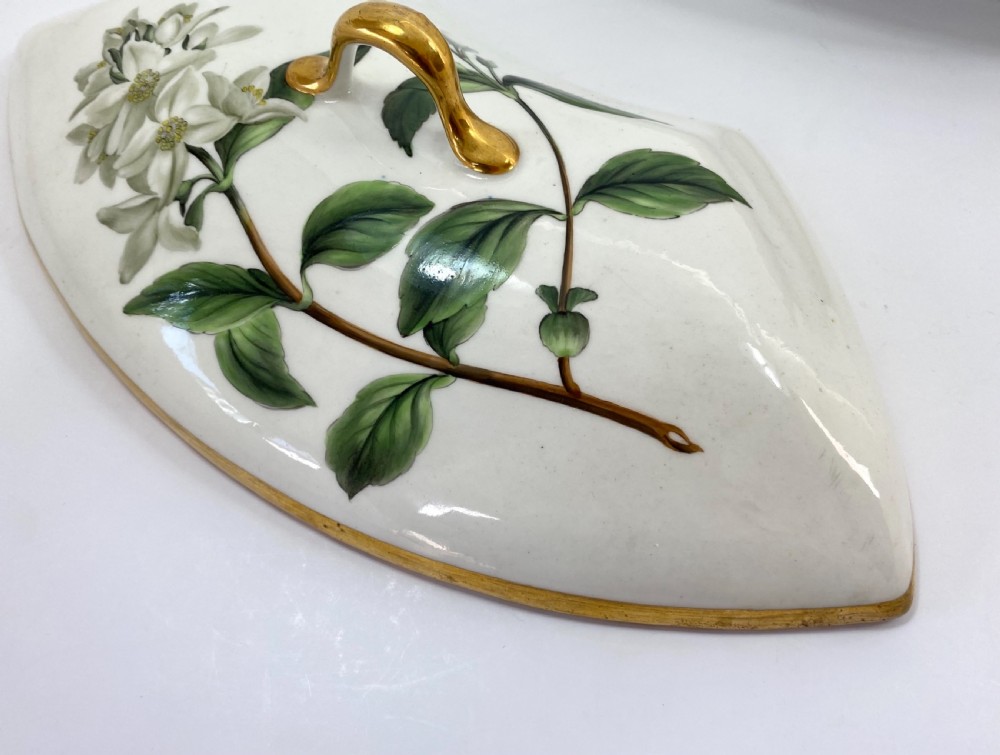 Chamberlains Worcester serving dish, c. 1815. View IV