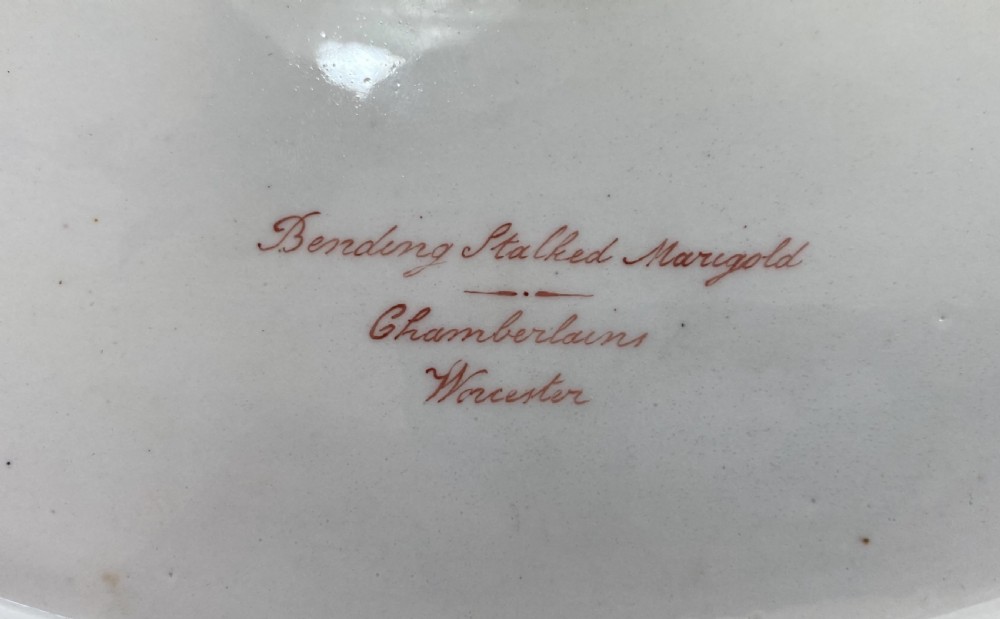 Chamberlains Worcester serving dish, c. 1815. View VIII