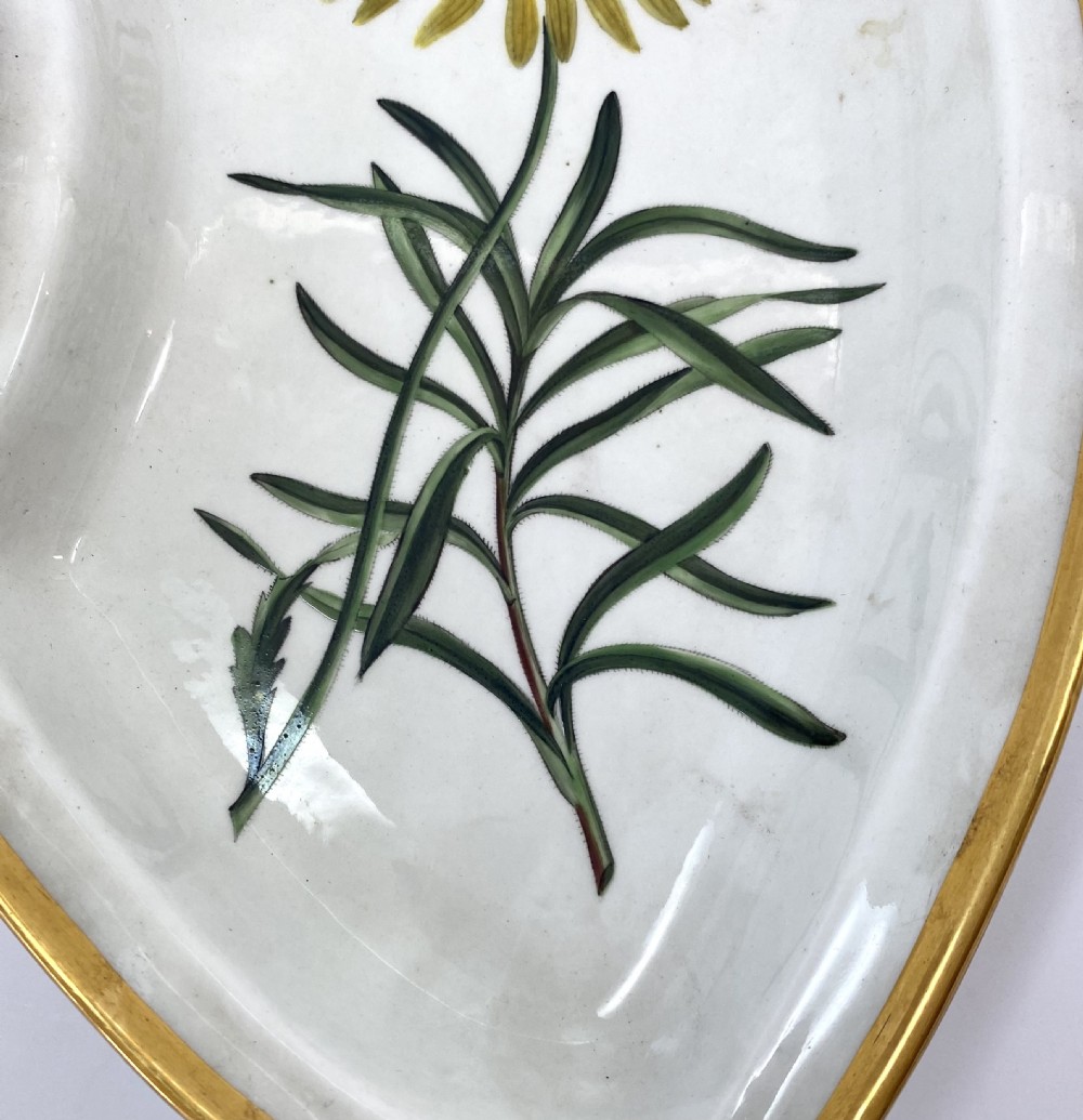 Chamberlains Worcester serving dish, c. 1815. View IX
