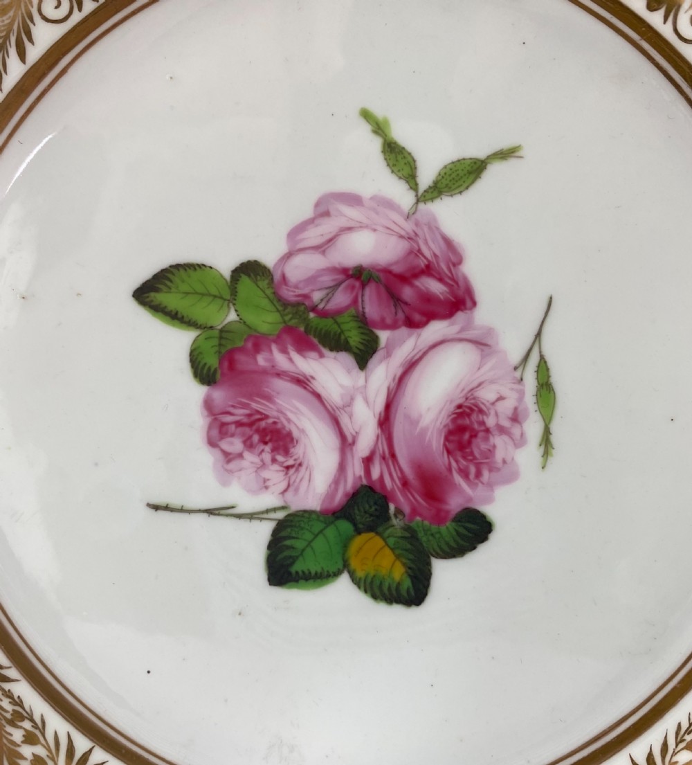Swansea porcelain plate. Roses. London decorated, c. 1815. View V