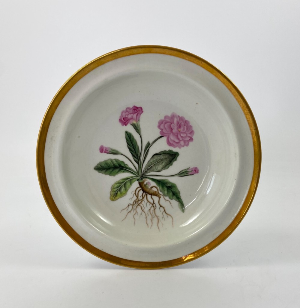 Chamberlains Worcester ‘Botanical’ dish, c. 1810.