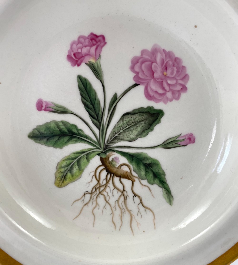 Chamberlains Worcester ‘Botanical’ dish, c. 1810. View III