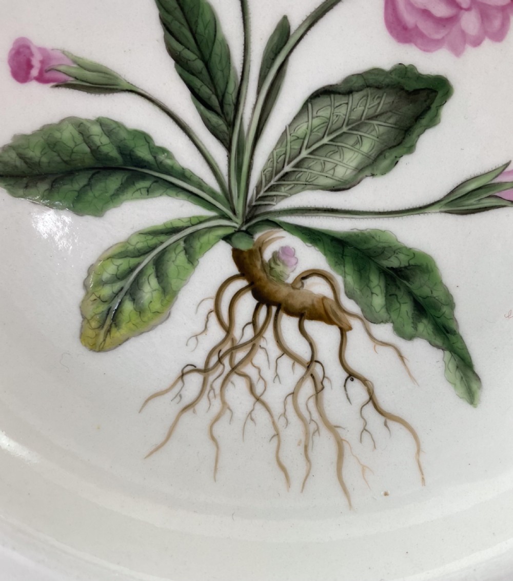 Chamberlains Worcester ‘Botanical’ dish, c. 1810. View IV