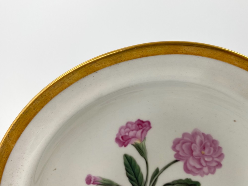 Chamberlains Worcester ‘Botanical’ dish, c. 1810. View V