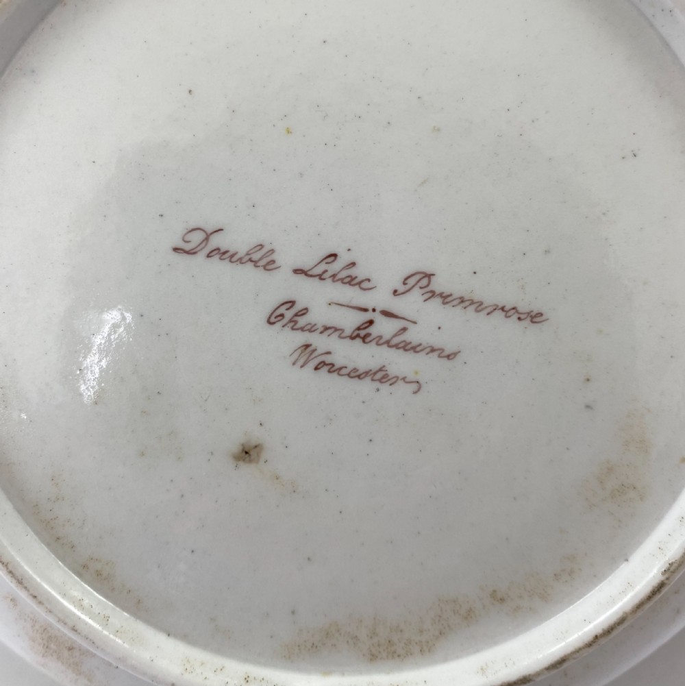 Chamberlains Worcester ‘Botanical’ dish, c. 1810. View VIII
