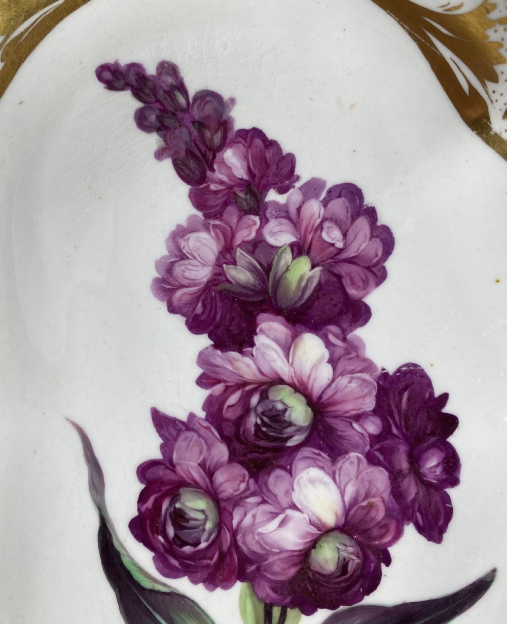 Derby porcelain dish, Botanical study, William ‘Quacker’ Pegg, c. 1815. View III