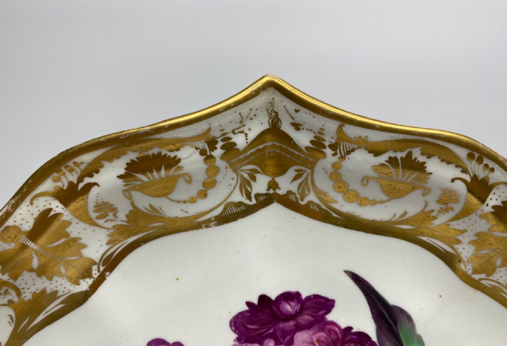 Derby porcelain dish, Botanical study, William ‘Quacker’ Pegg, c. 1815. View V