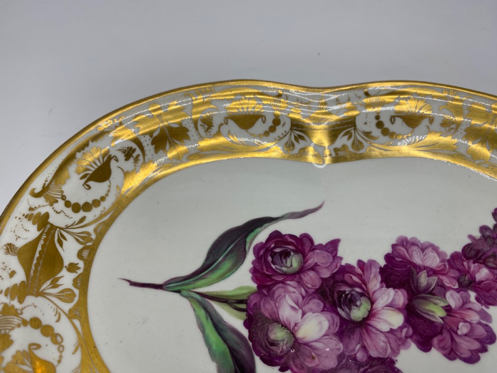 Derby porcelain dish, Botanical study, William ‘Quacker’ Pegg, c. 1815. View VIII