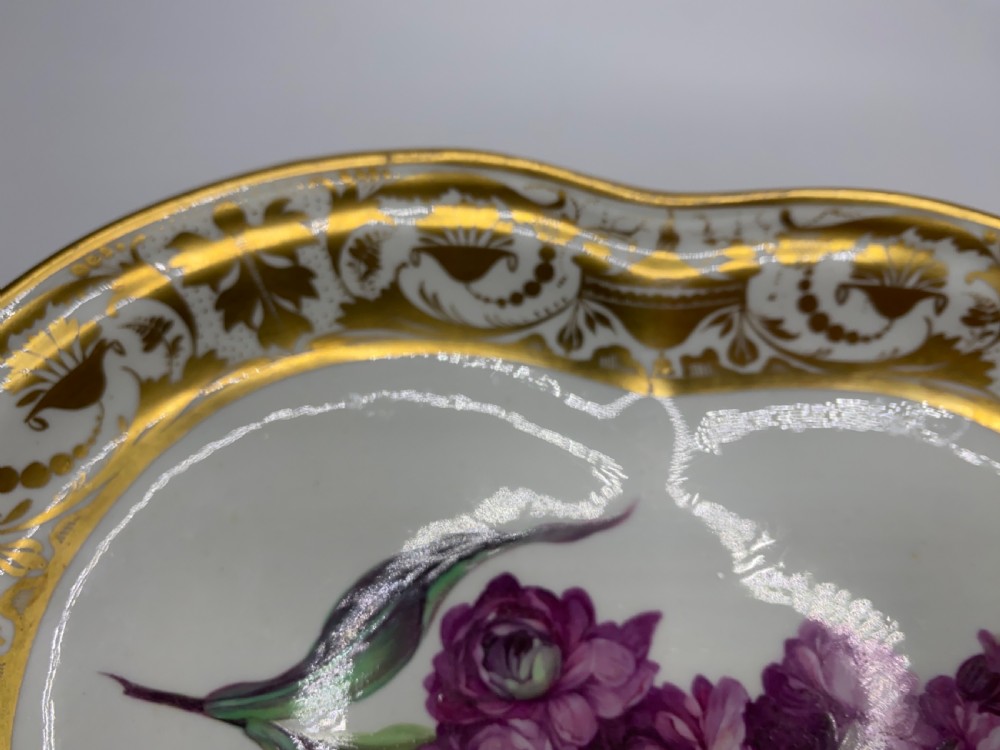 Derby porcelain dish, Botanical study, William ‘Quacker’ Pegg, c. 1815. View IX