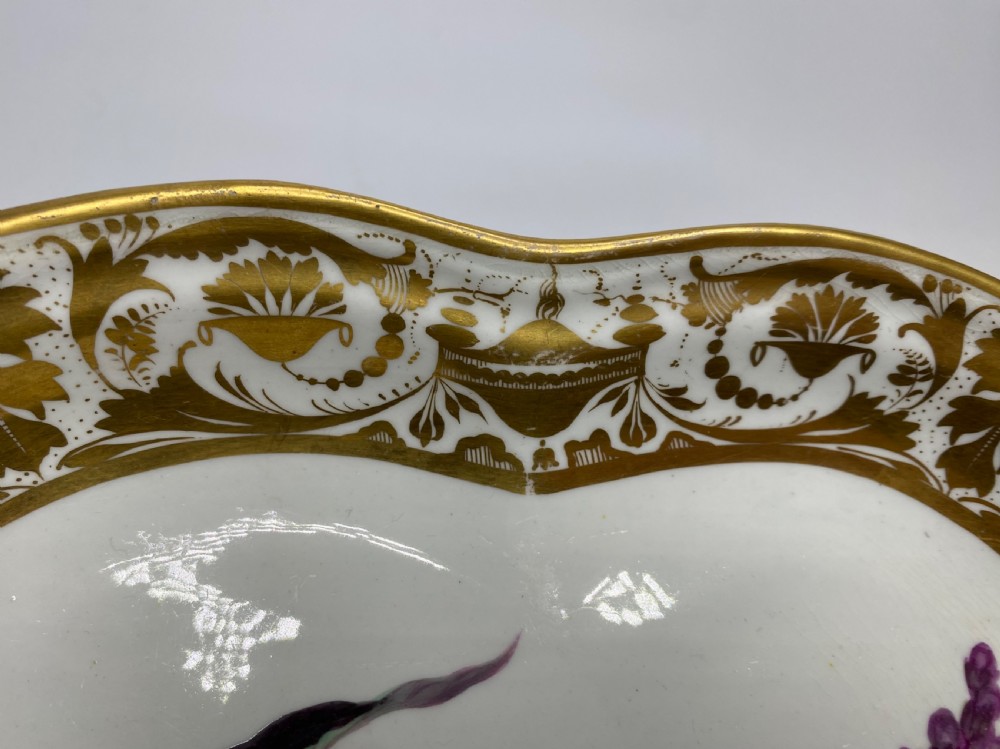 Derby porcelain dish, Botanical study, William ‘Quacker’ Pegg, c. 1815. View XI