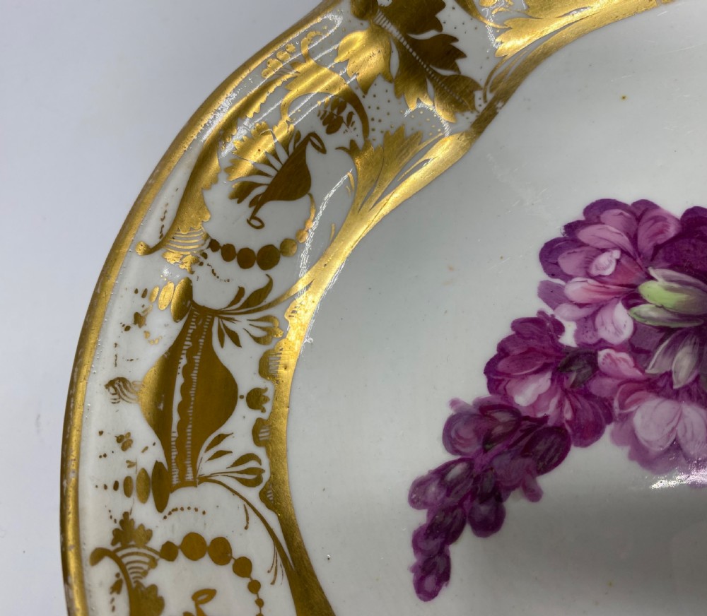 Derby porcelain dish, Botanical study, William ‘Quacker’ Pegg, c. 1815. View XII