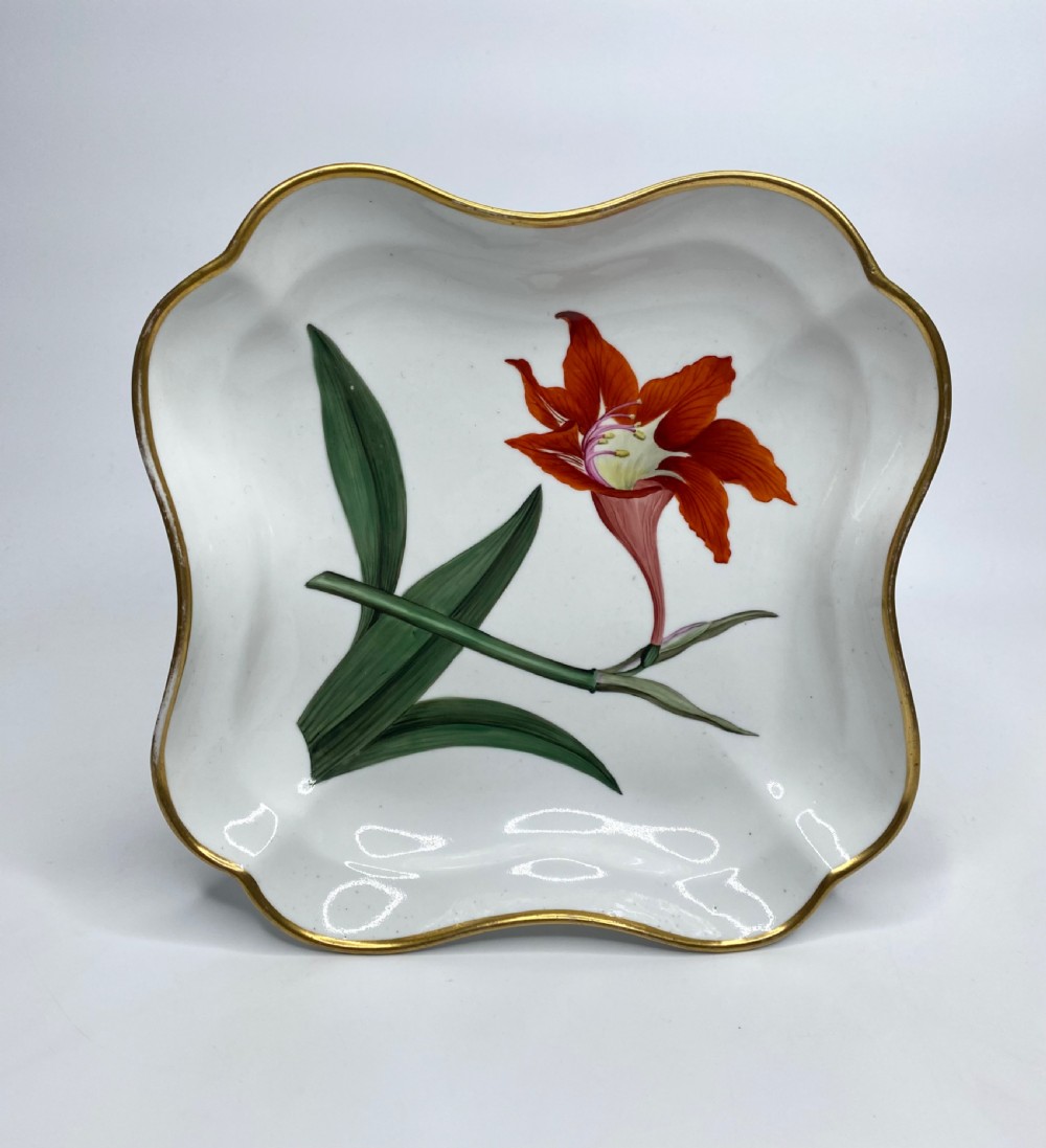 Chamberlains Worcester botanical dish, c. 1810.