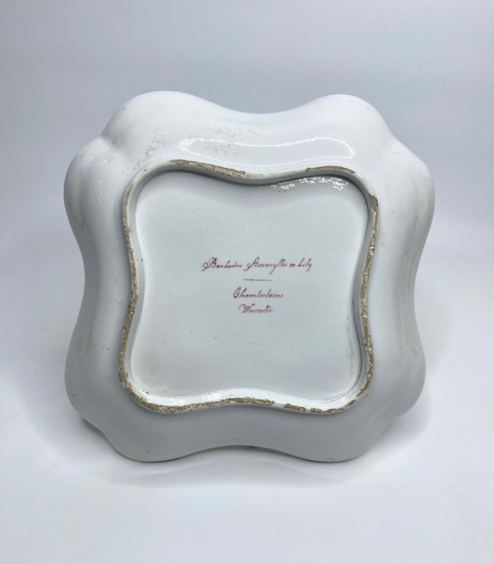 Chamberlains Worcester botanical dish, c. 1810. View V