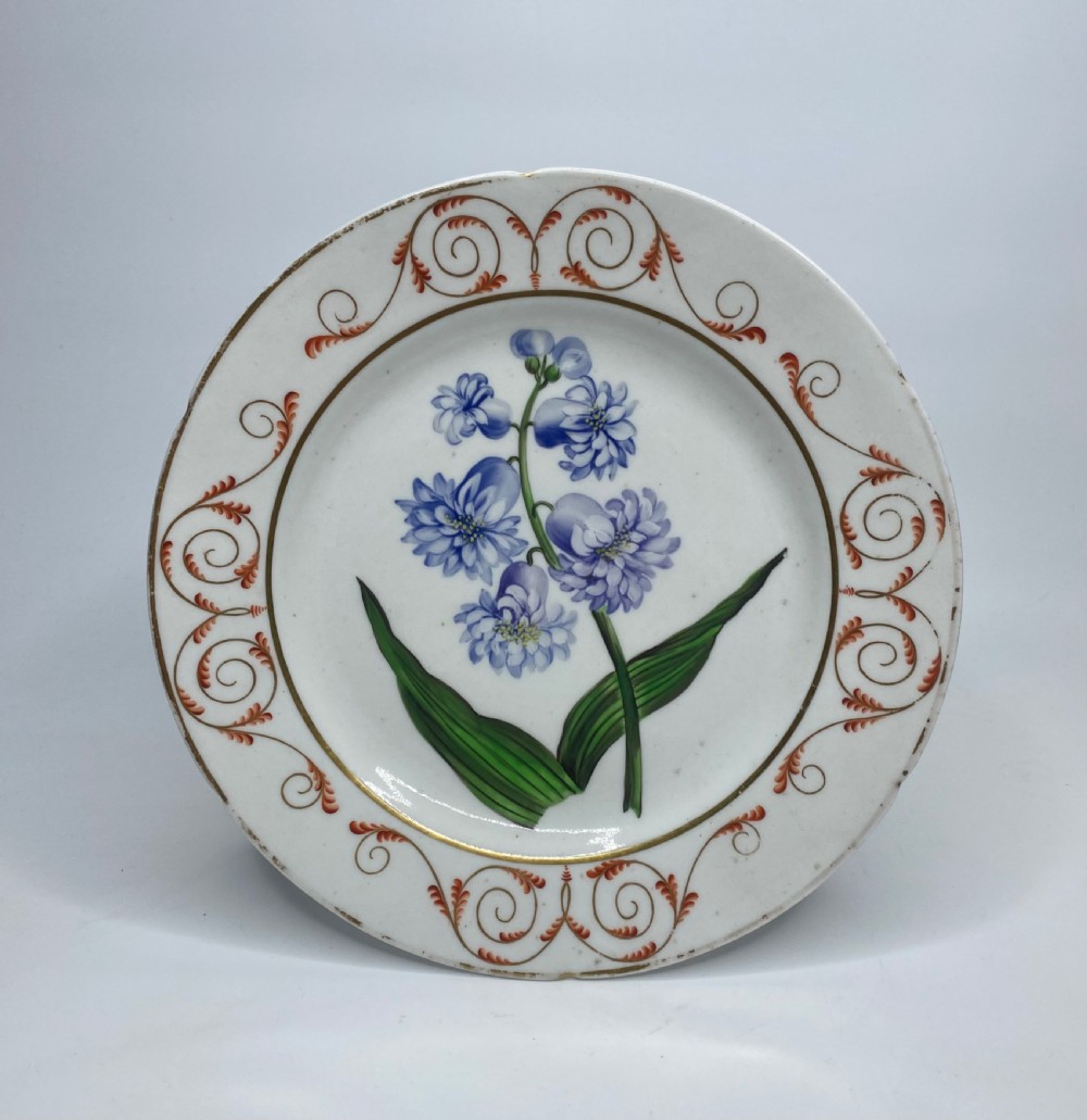 English porcelain botanical dish, Hyacinth, c. 1800.